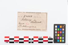 Etikett zu Bronzebandarmreif (NHMW-PRAE-024008)